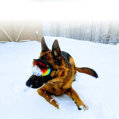 Dog Goggles Anti-UV Eyewear Protection Adjustable