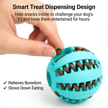2-in-1 Dog Chew Teeth Cleaning
