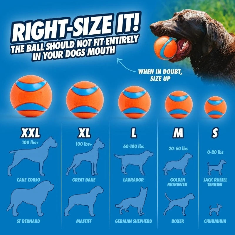Ultra Ball Dog Toy