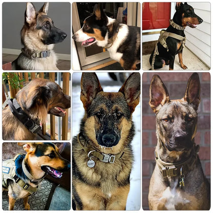 Training Collar Adjustable