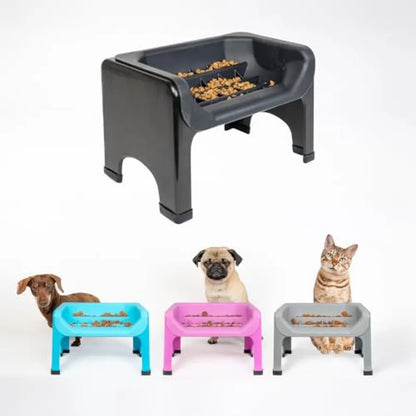 Elevated Slow Feeder Dog Bowl