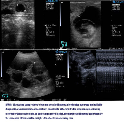 Portable Veterinary Ultrasound Scanner