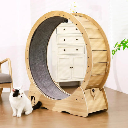 Large Exercise Wheel for Indoor Cats