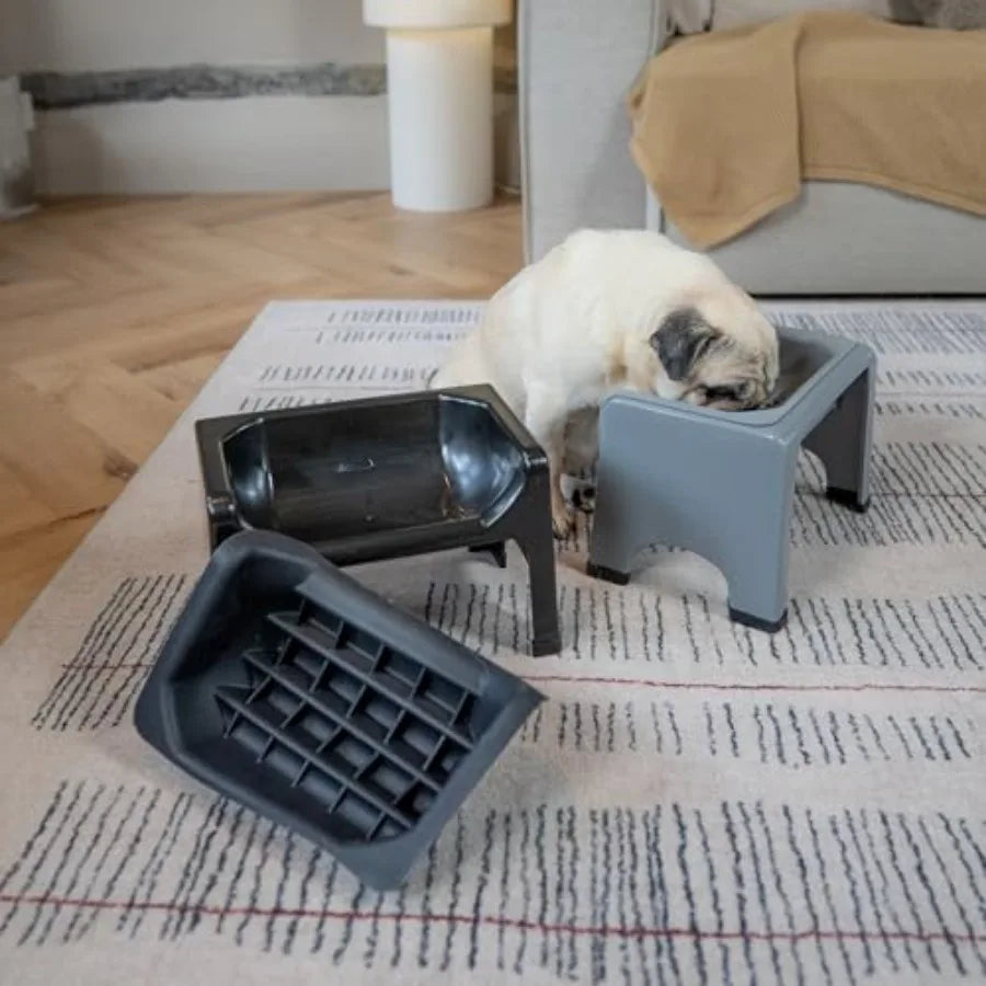 Elevated Slow Feeder Dog Bowl