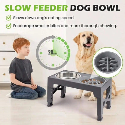 5 Adjustable Heights, slow feeder