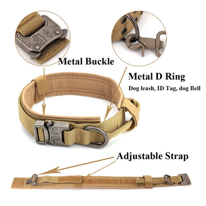 Training Collar Adjustable