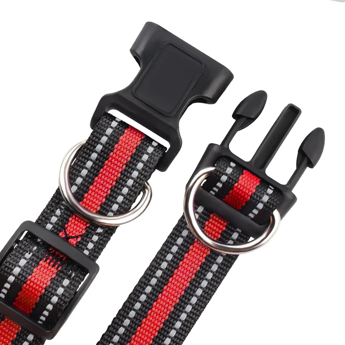 Collar for Small/Medium Dogs, 2-Pack