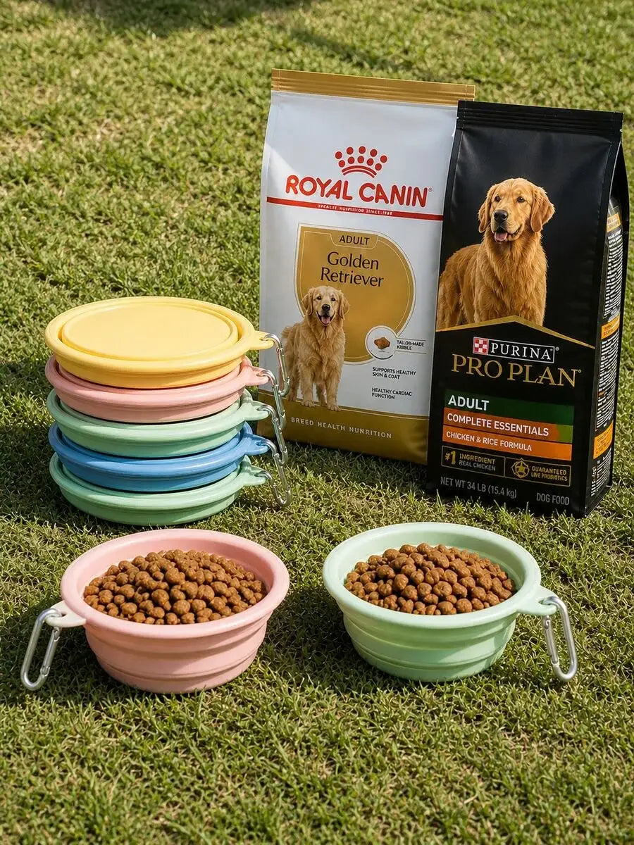 Slow-Feeding Dog Bowl,