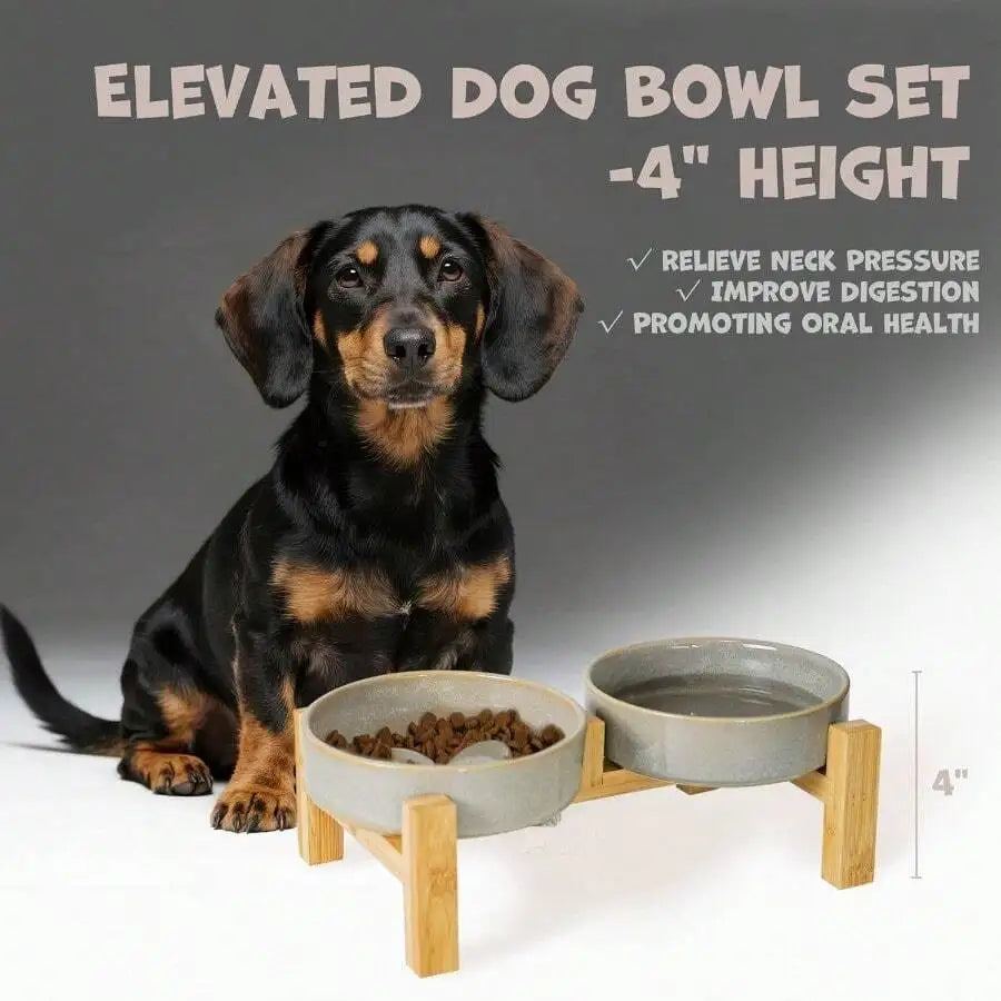 Elevated Slow Feeder Ceramic bowl