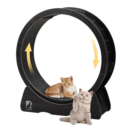 Large Exercise Wheel for Indoor Cats