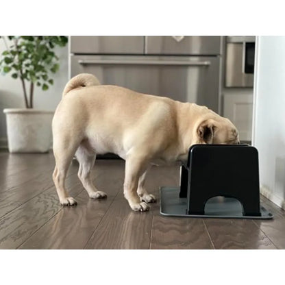 Elevated Dog Bowl