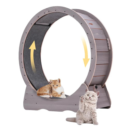 Large Exercise Wheel for Indoor Cats