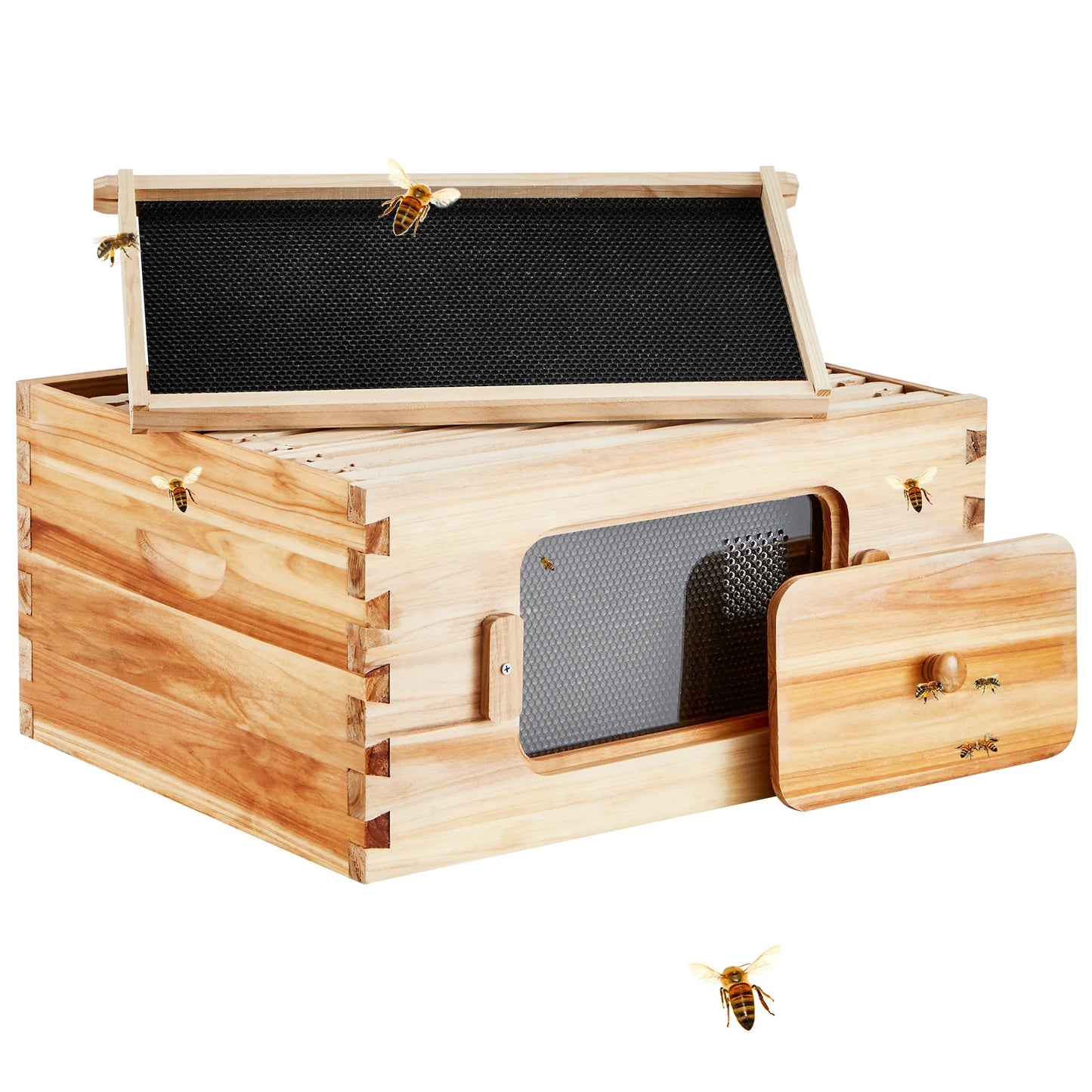 Bee Hive Deep Box Starter Kit Transparent Acrylic