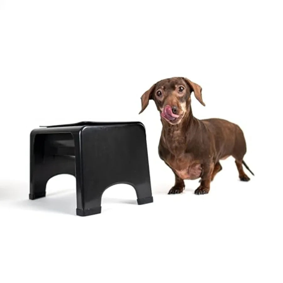 Elevated Dog Bowl
