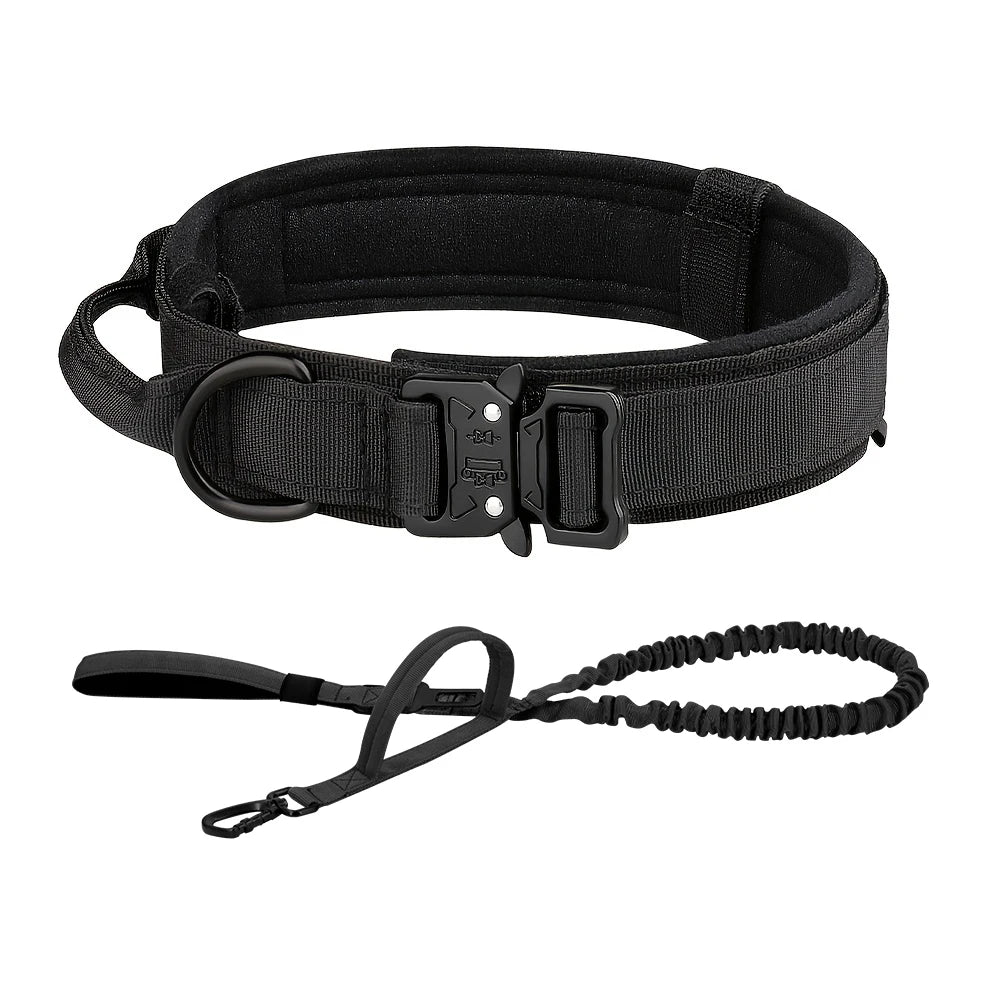 Training Collar Adjustable