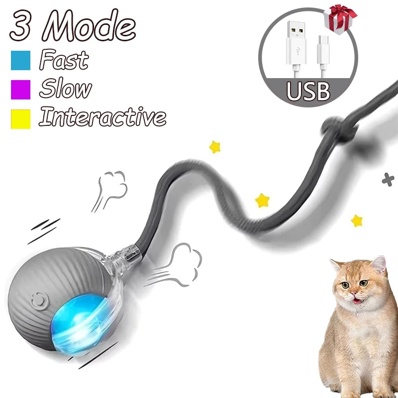 2Pcs Cat Interactive Automatic Rolling Ball