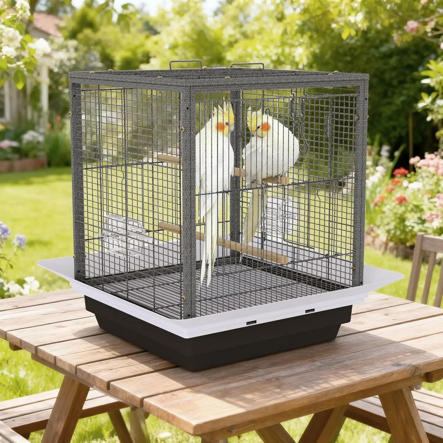 Small Bird Cage