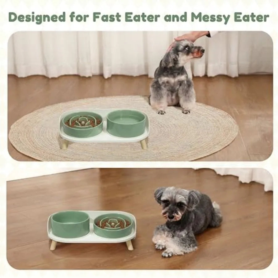 Elevated Slow Feeder Dog Bowls