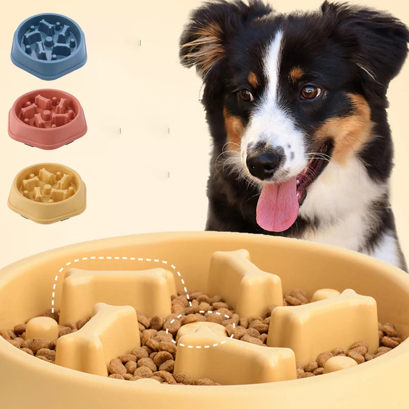 Slow Feeder Dog Cat Bowl,