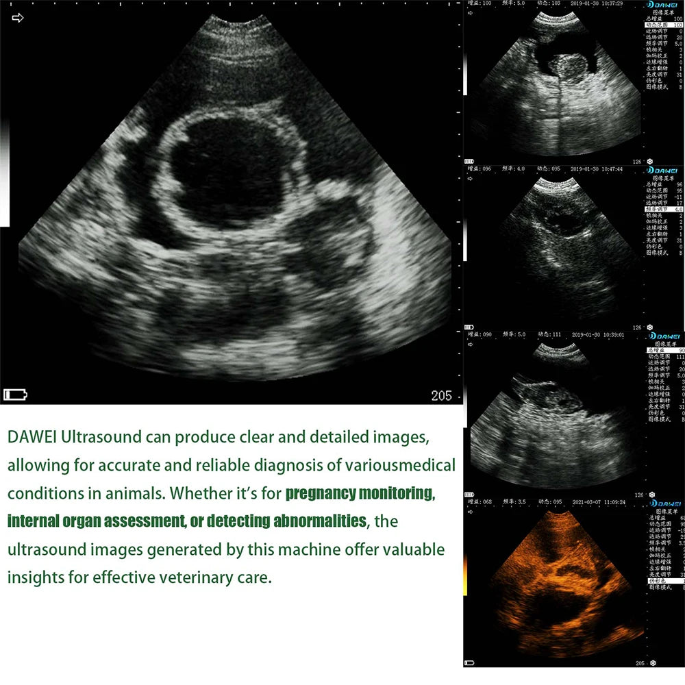 Portable Veterinary Ultrasound   for Animals