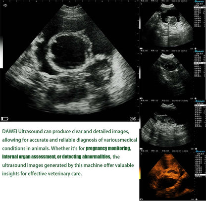 Portable Veterinary Ultrasound   for Animals