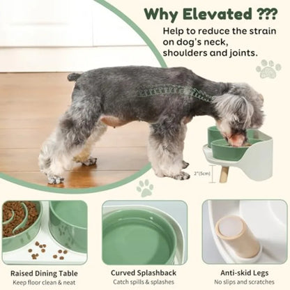 Elevated Slow Feeder Dog Bowls