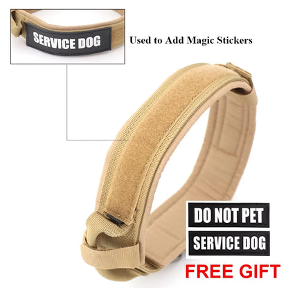 Training Collar Adjustable