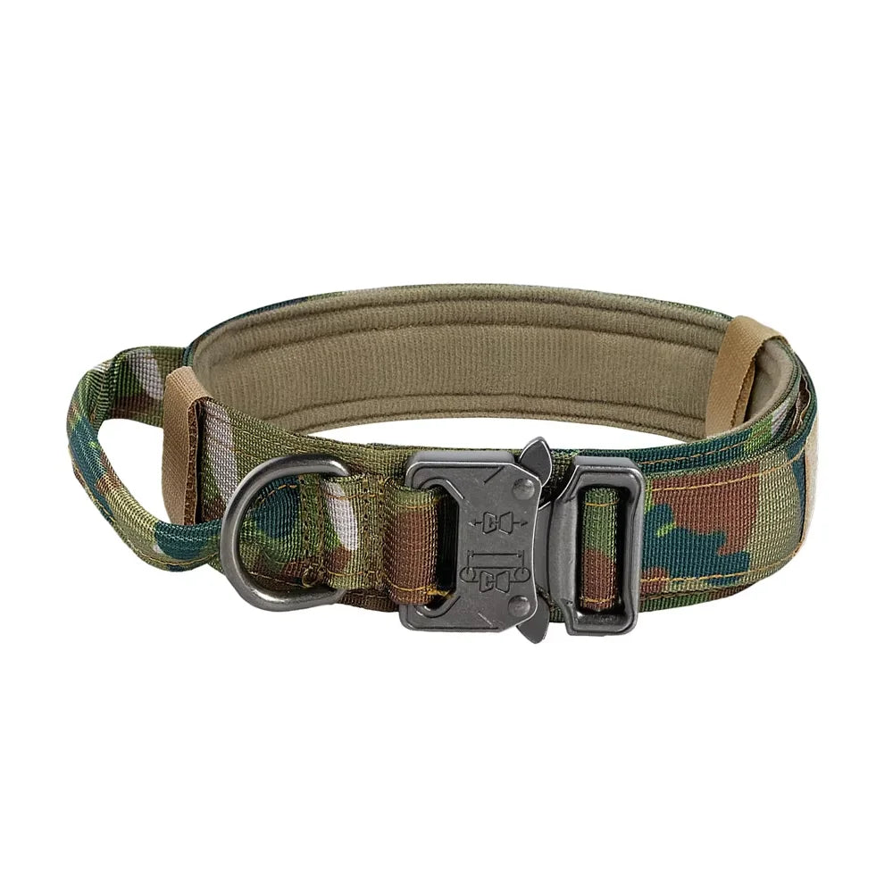 Training Collar Adjustable