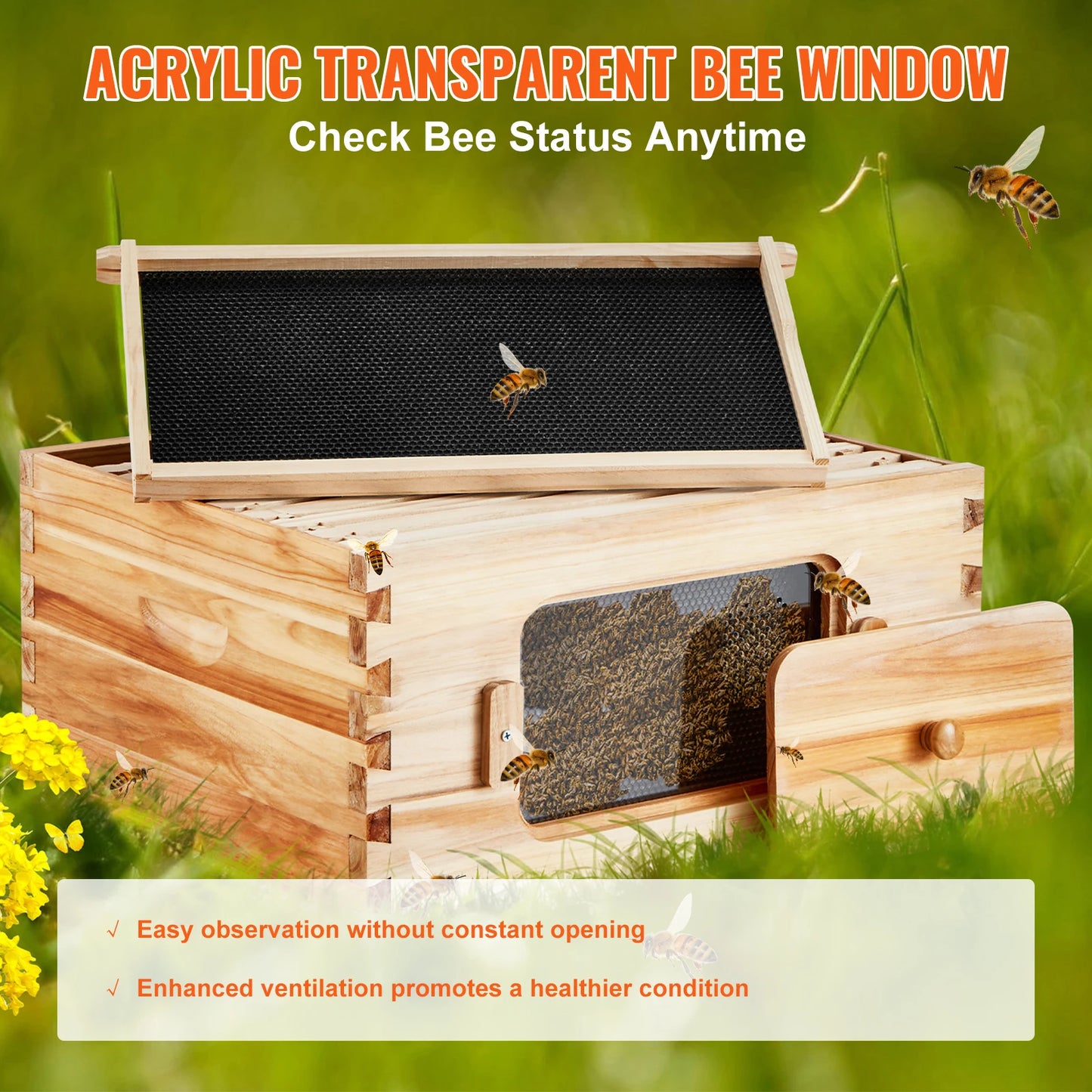 Bee Hive Deep Box Starter Kit Transparent Acrylic
