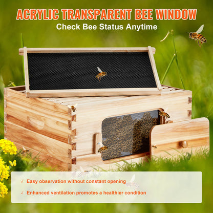 Bee Hive Deep Box Starter Kit Transparent Acrylic