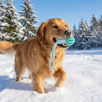 Cotton Rope & Rubber Dog Chew Ball,