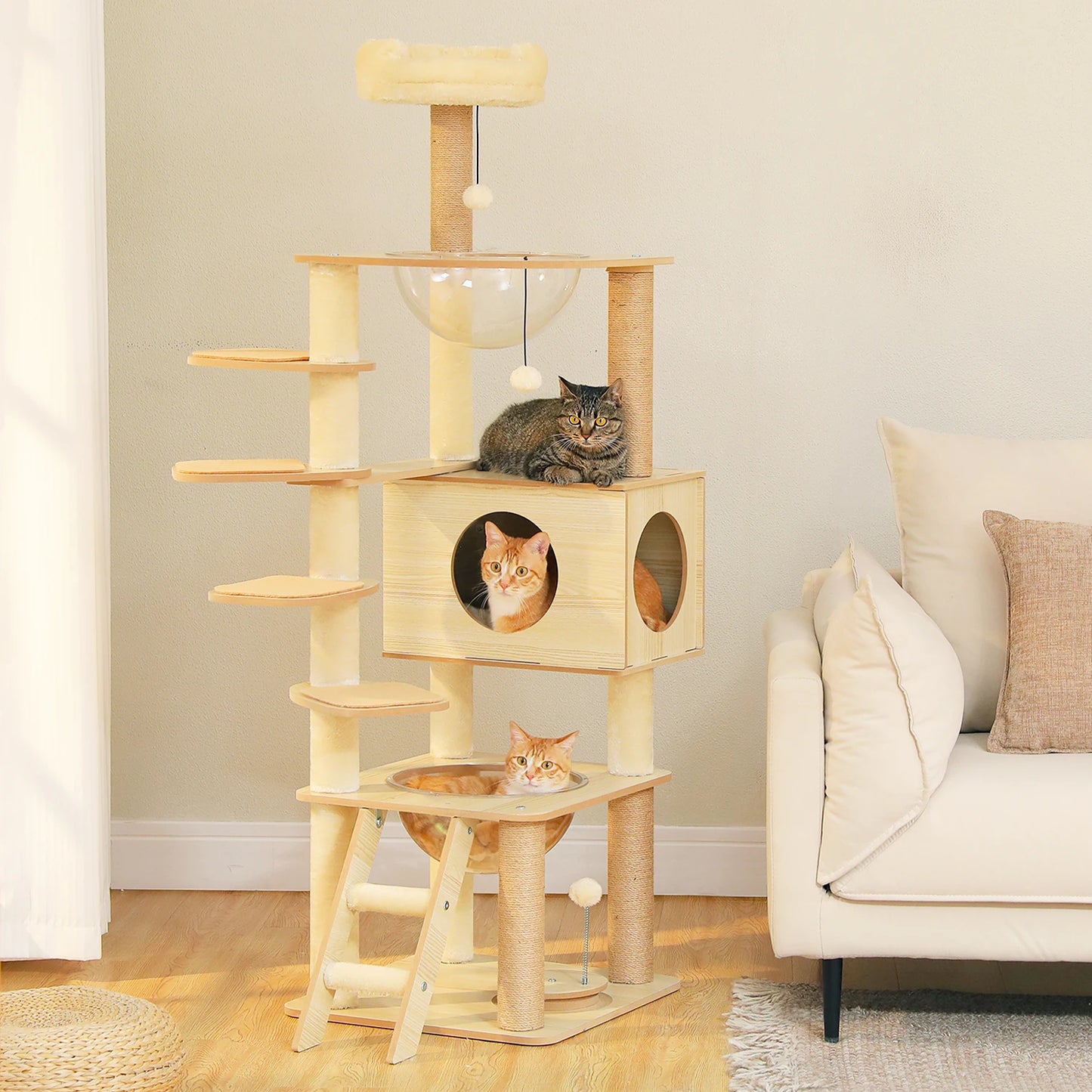 Multi-Level Cat Tree