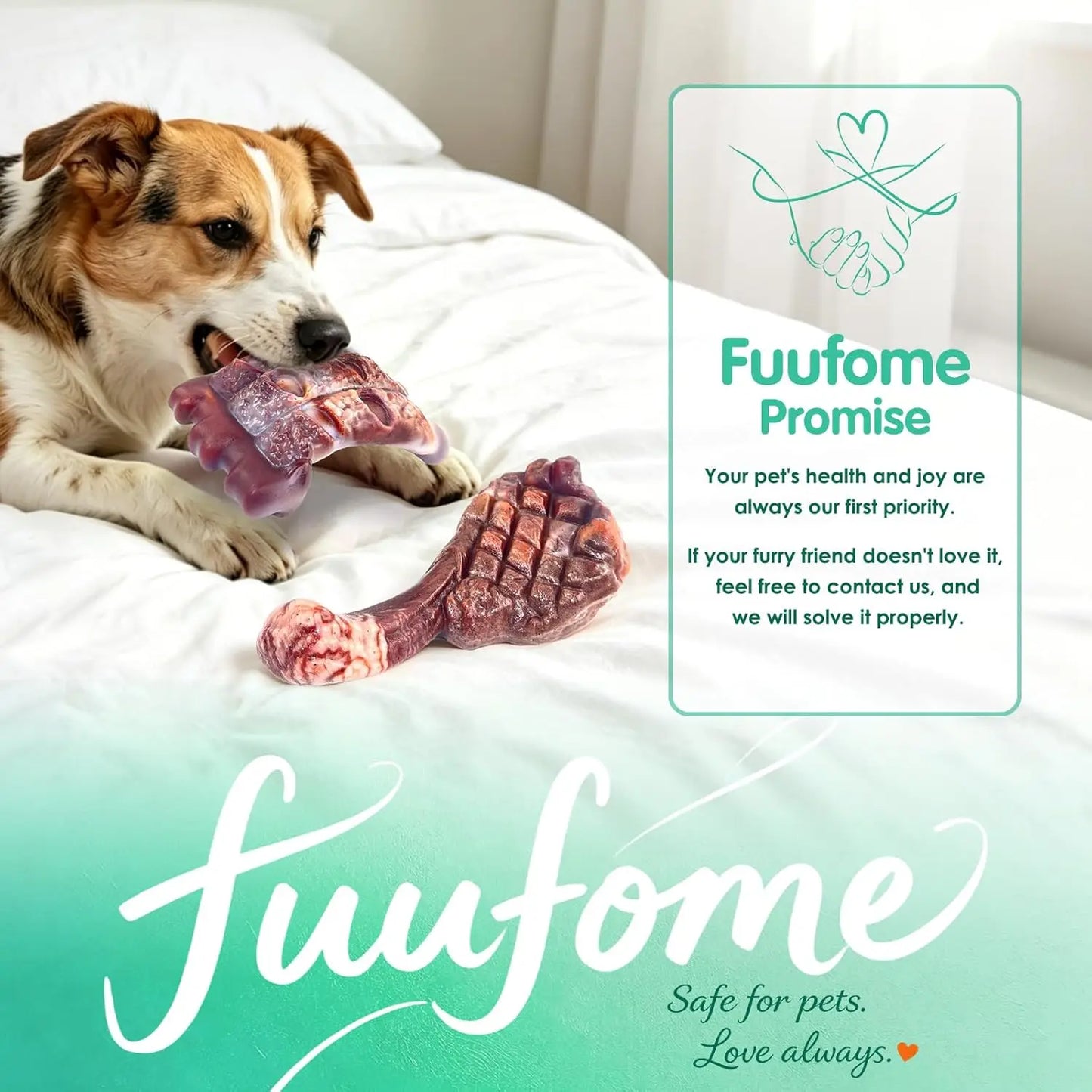 2 Pack Tough Nylon Bones for Large Breeds