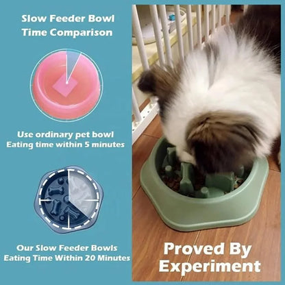 Slow Feeder Dog Cat Bowl,