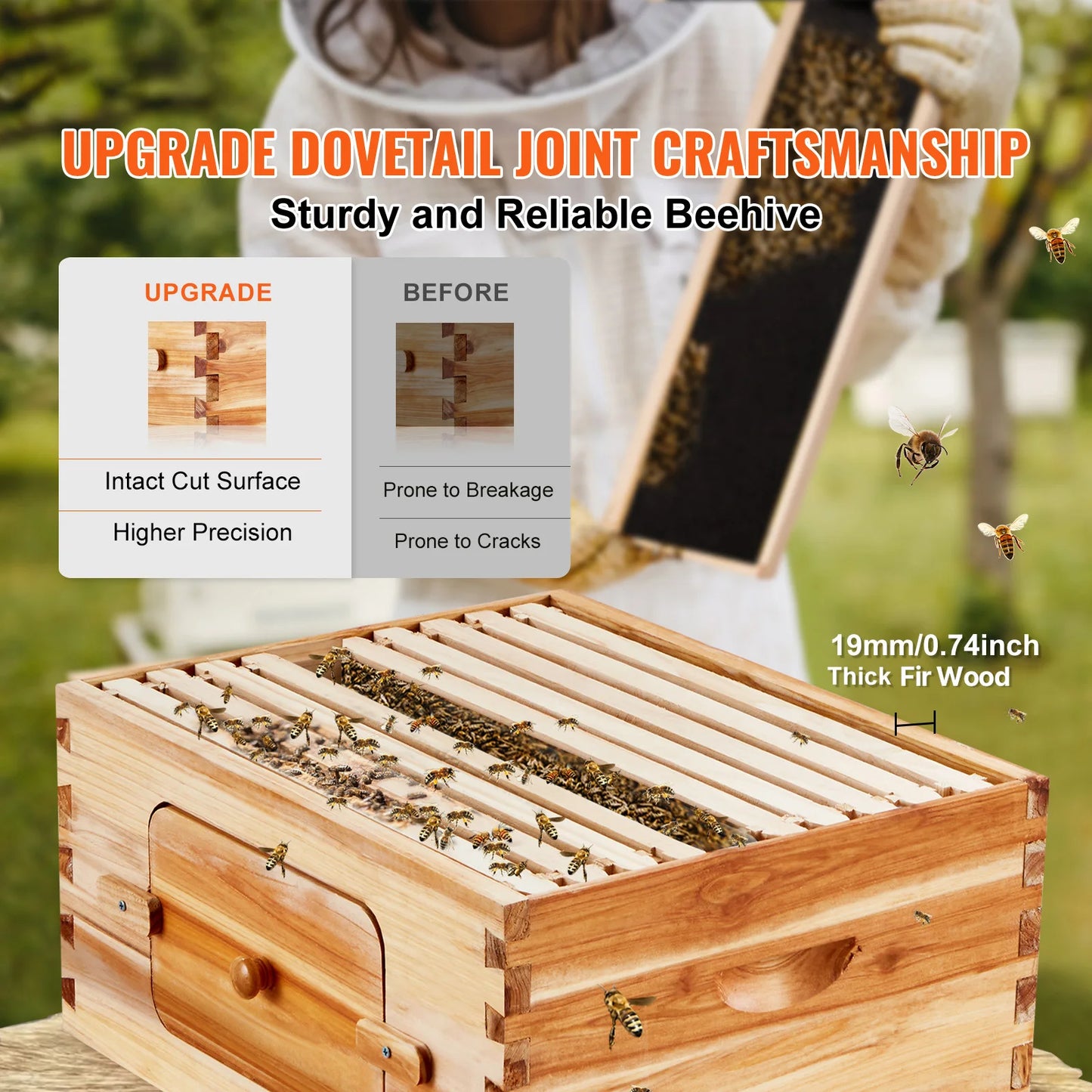 Bee Hive Deep Box Starter Kit Transparent Acrylic