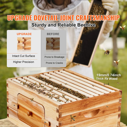 Bee Hive Deep Box Starter Kit Transparent Acrylic